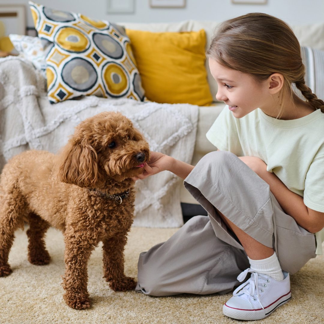 Wagging our tails for <br> De Warmste Week