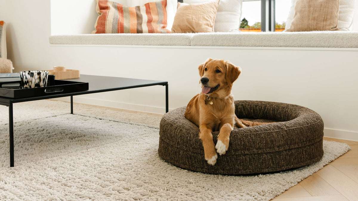 How to Choose the Best Dog Bed - The Fantail Fabric & Colour Guide