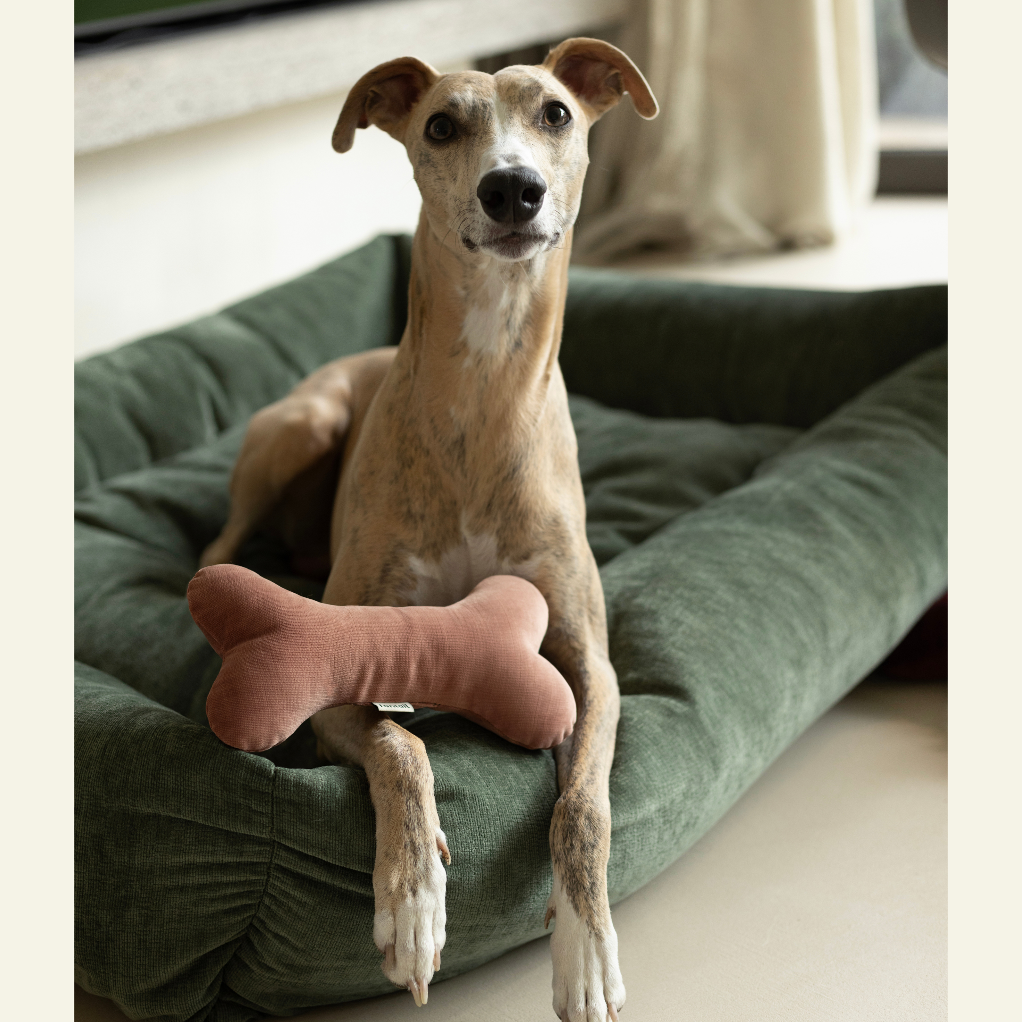 Christmas Bones x A.DOPT