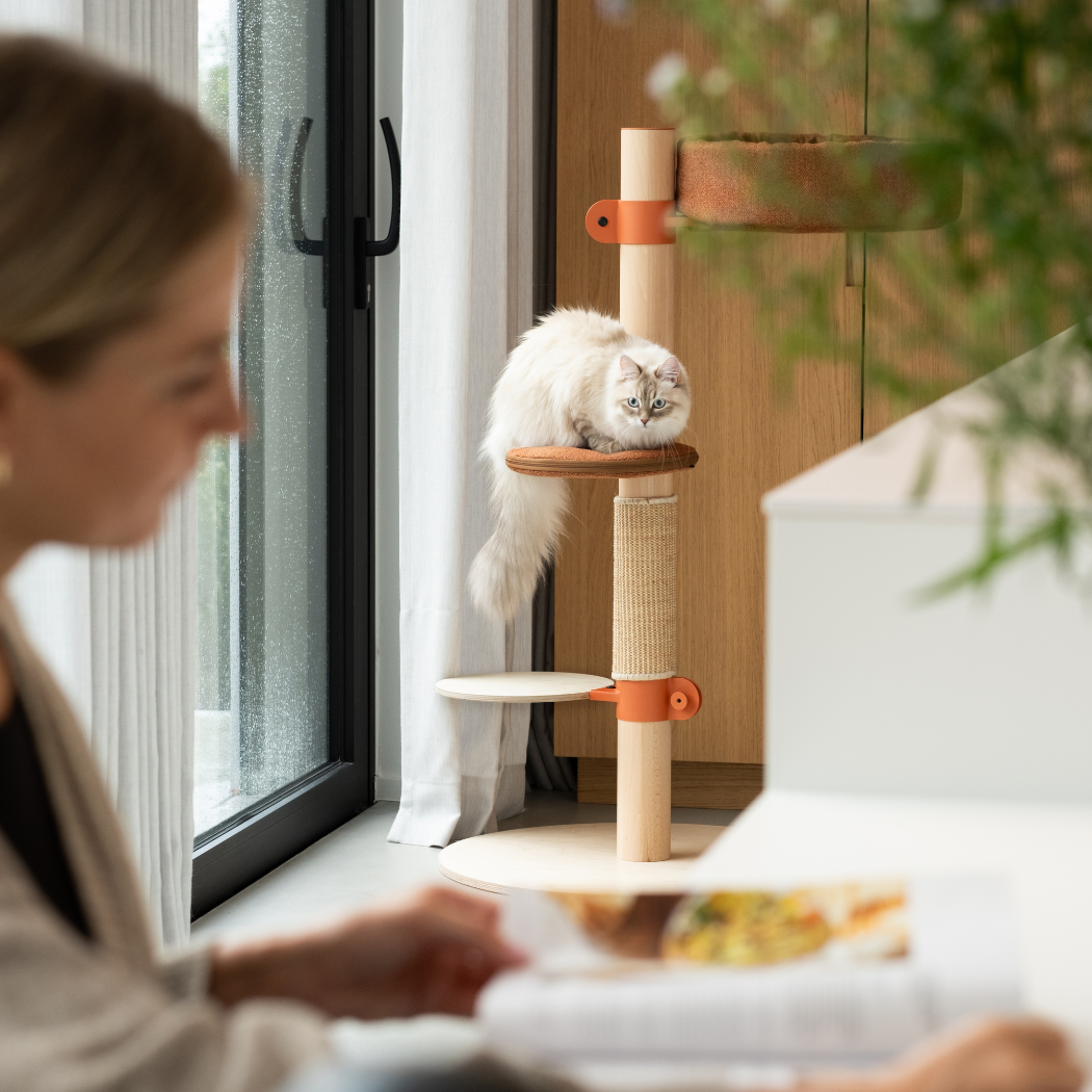 The Observer Cat Tree N°2 Orange