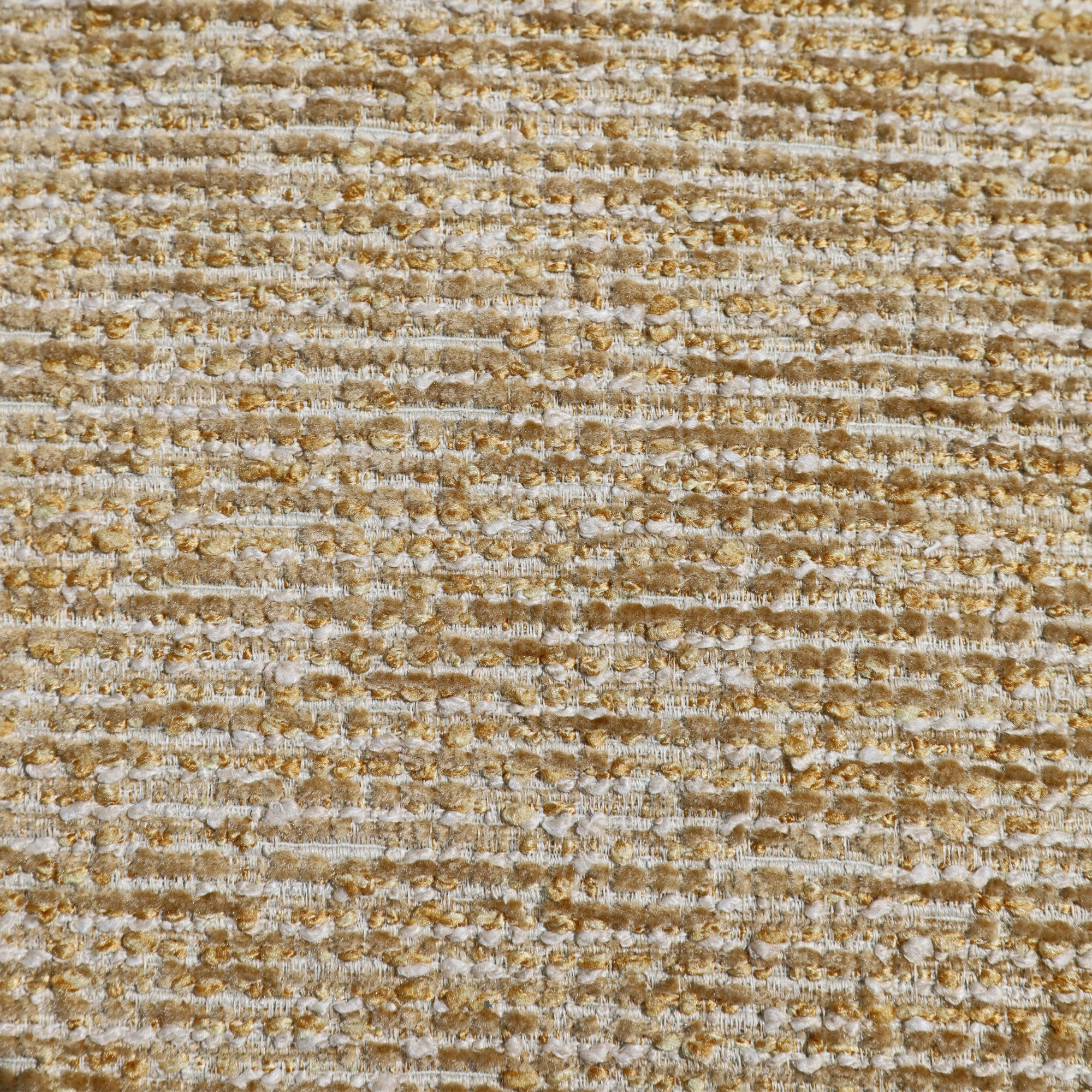 Hoes Snug Limited Edition Teddy