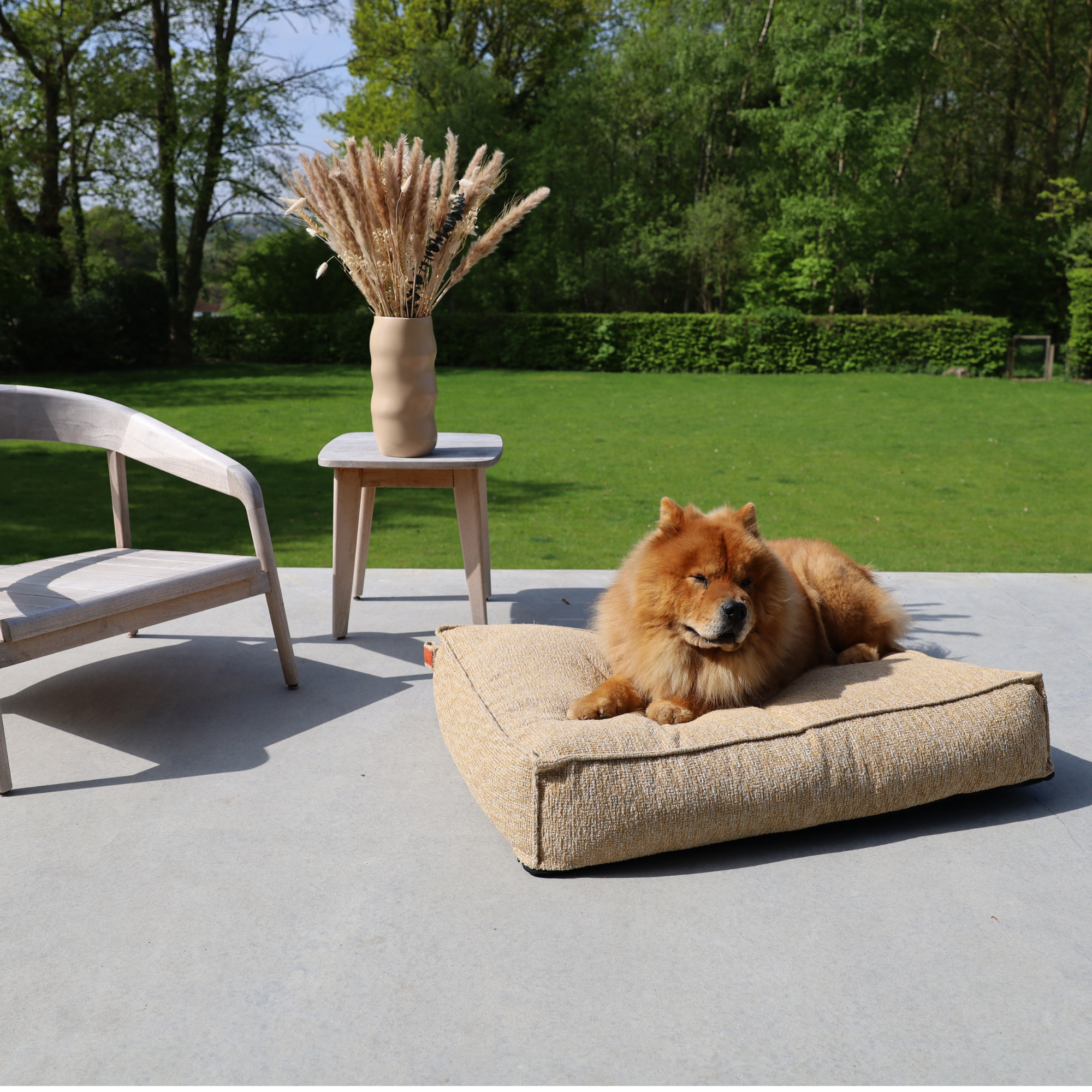 Dog lying on a beige dog bed with a garden and chair in the background