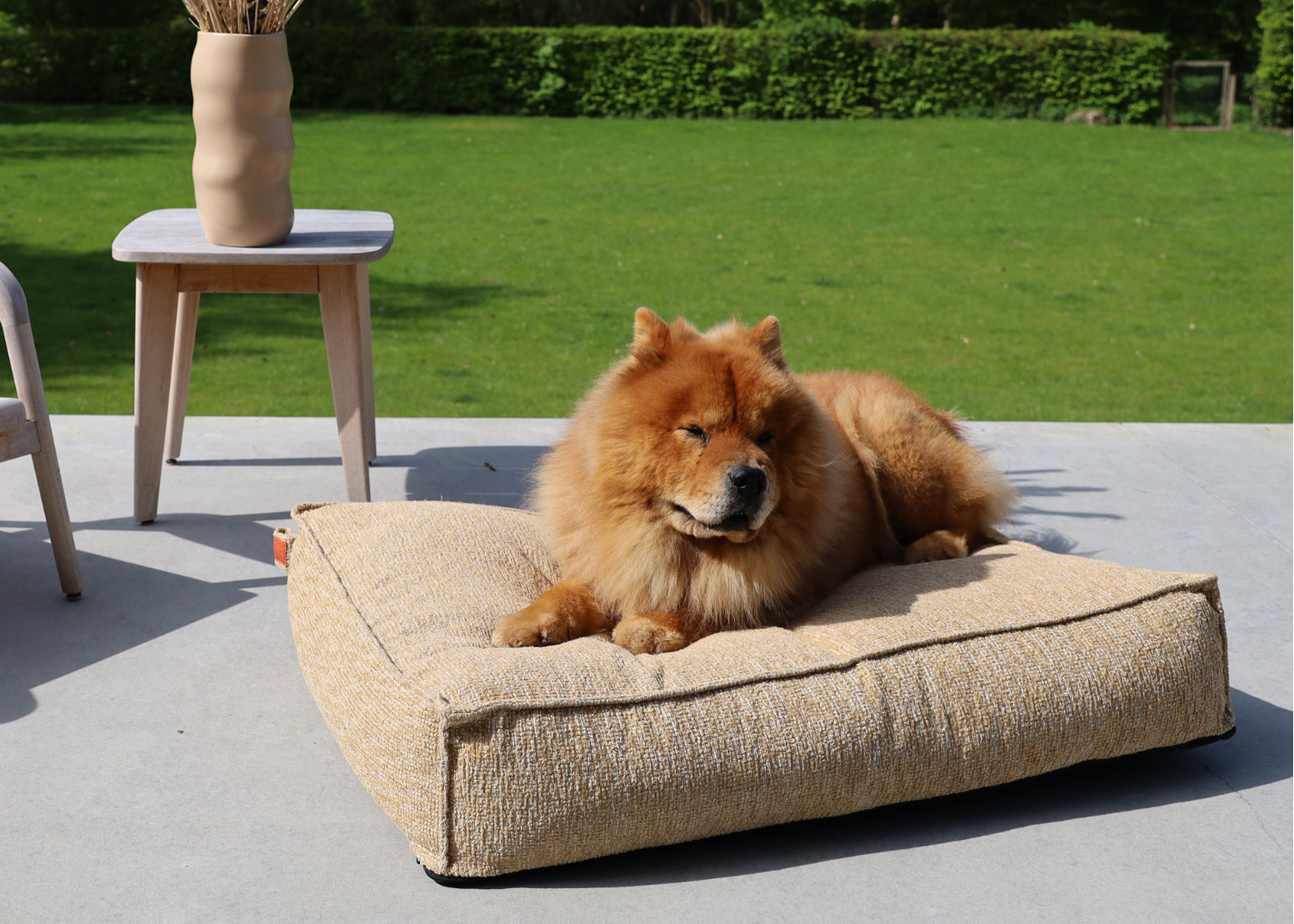Dog lying on a beige dog bed with a garden and chair in the background