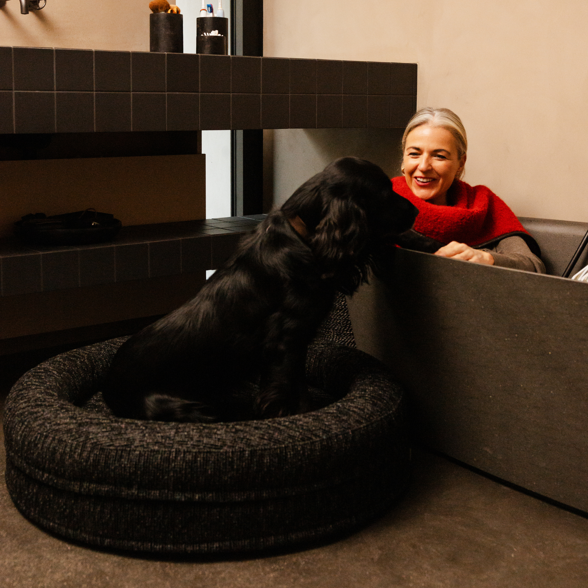Swirl Elite Dog Bed Coal Without Frame – Orthopedic Dog Bed with Washable Cover