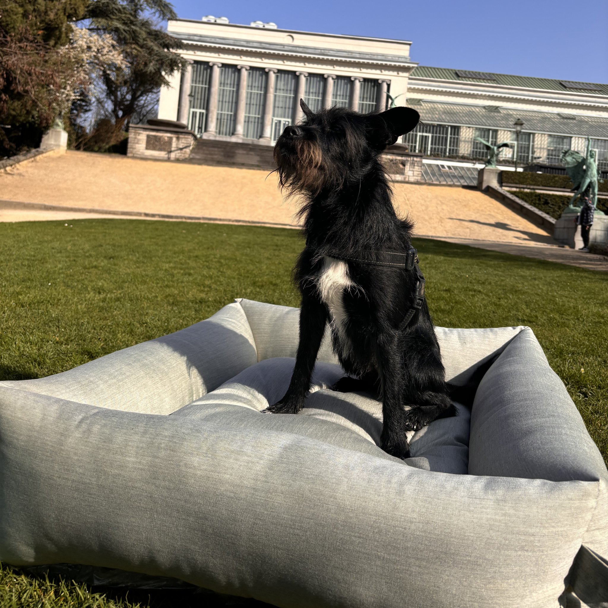 Fully Washable Dog Bed for Indoor & Outdoor Use | Matcha