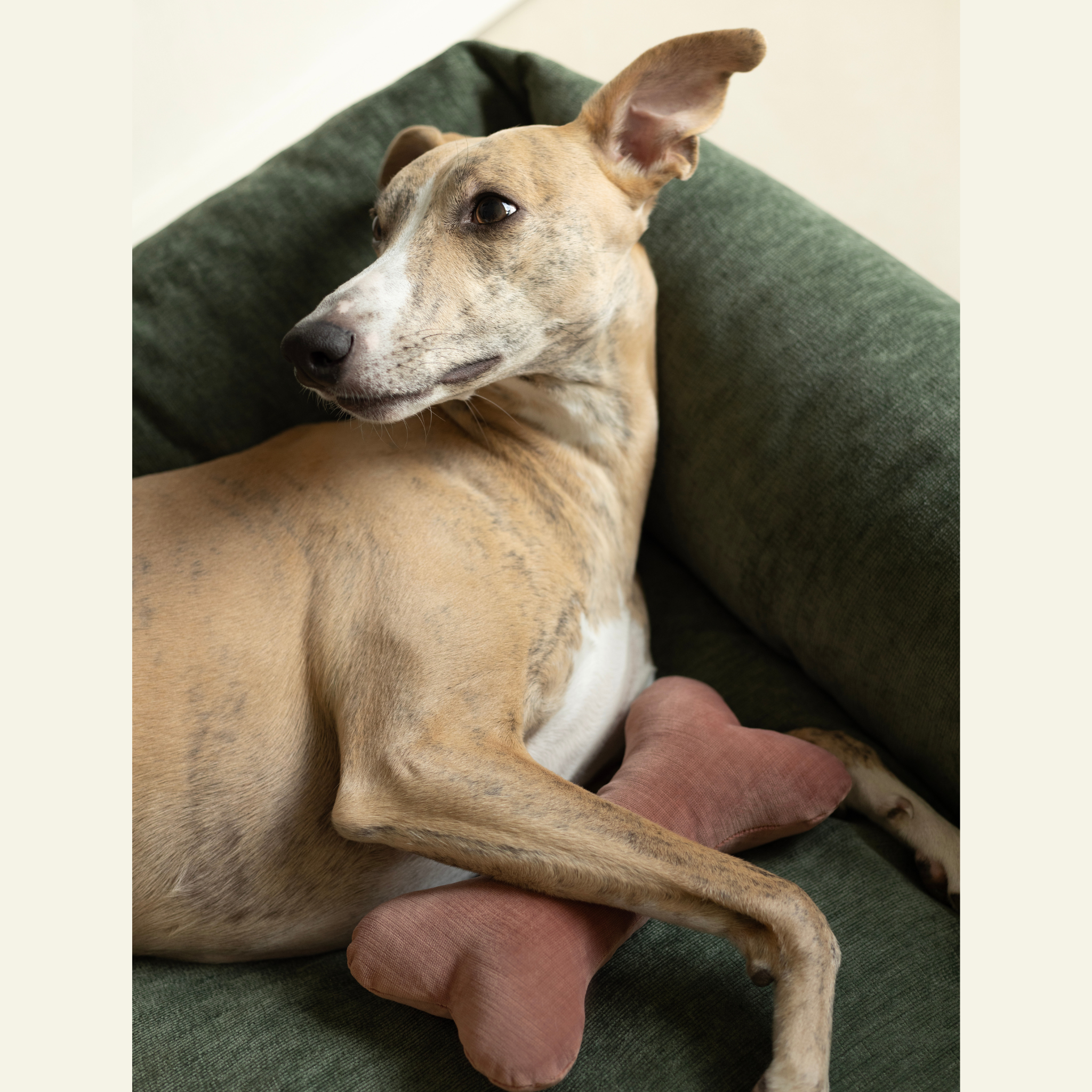 Christmas Bones x A.DOPT