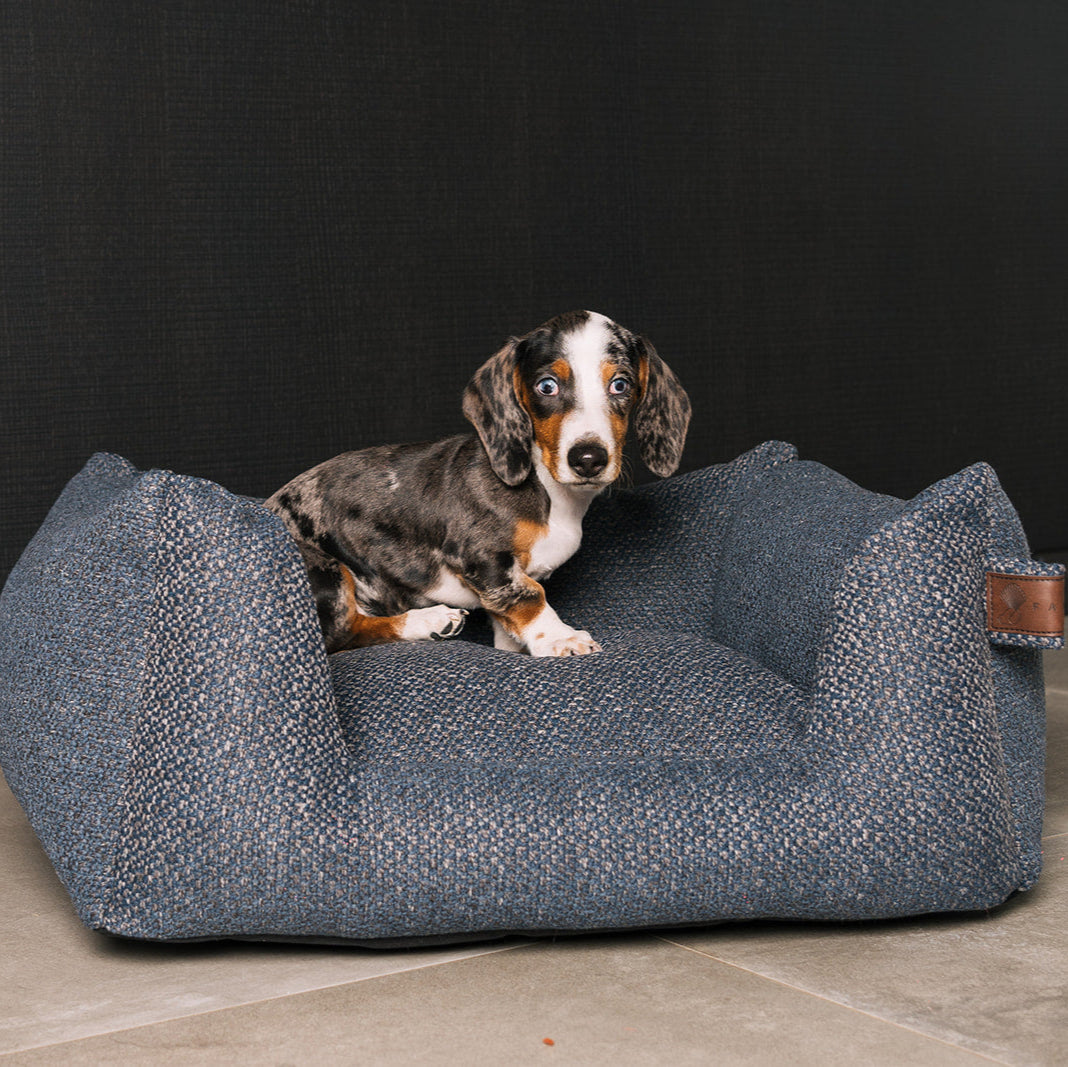 Snooze Endurance Dog Bed Midnight Blue