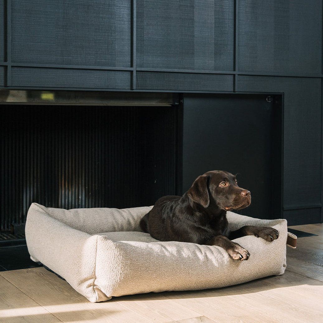 Snug Endurance Dog Bed British Tan – Orthopedic Bolster Bed for Small to XL Dogs, Washable Cover