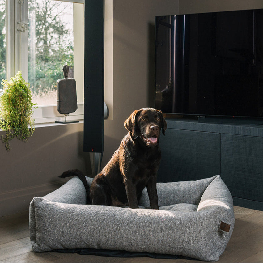 Snug Endurance Dog Bed Harbor Grey