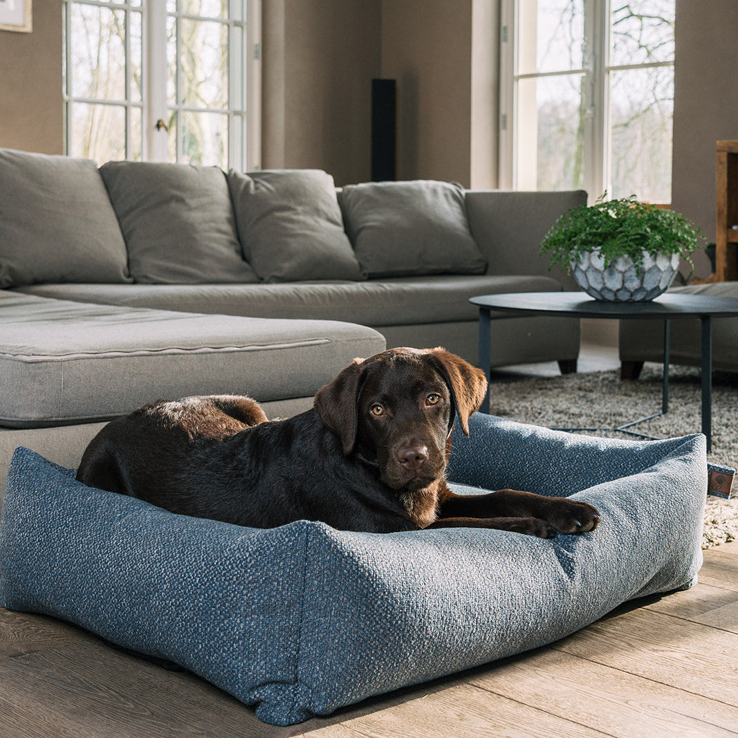 Snug Endurance bed Midnight Blue