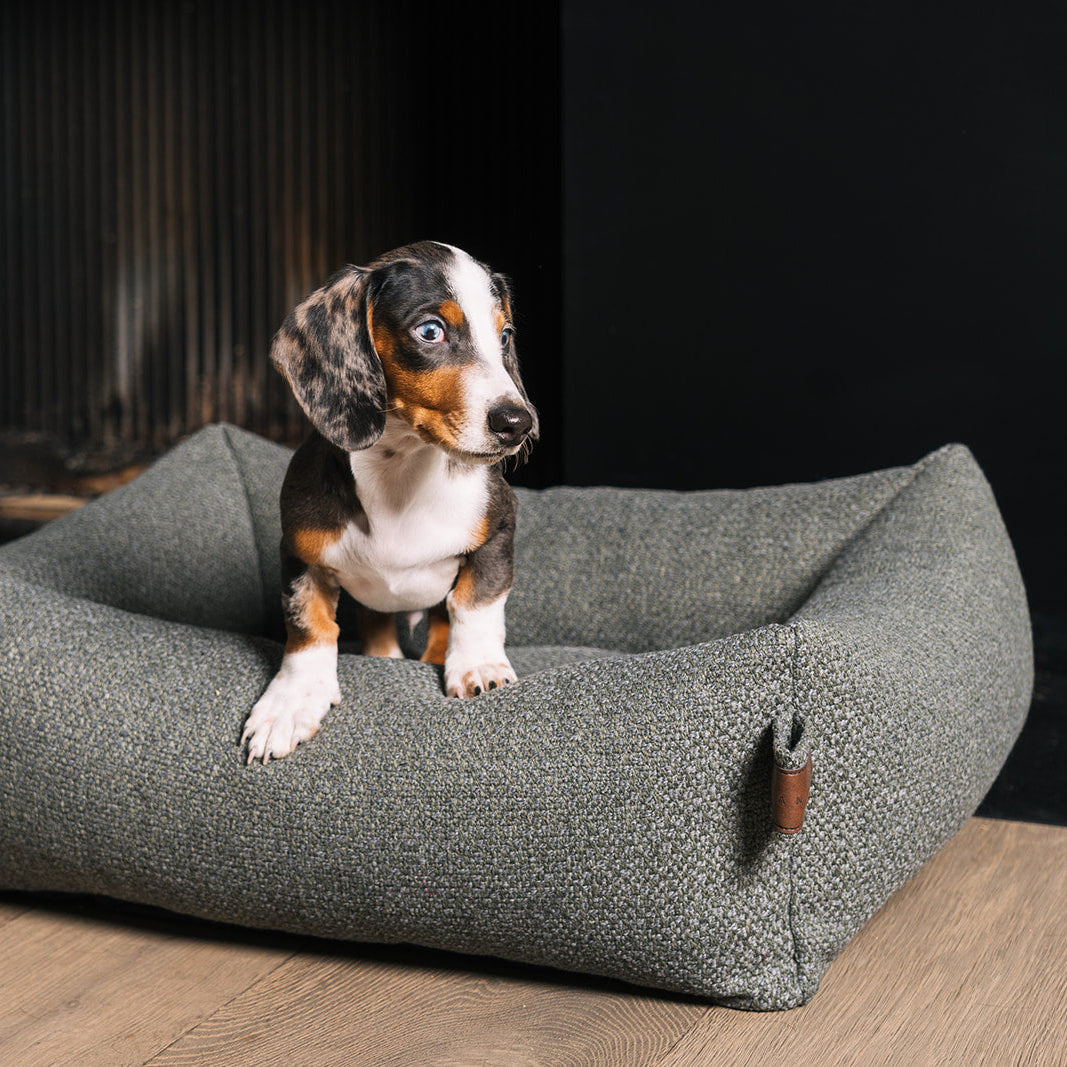 Snug Endurance Dog Bed Seaweed Green