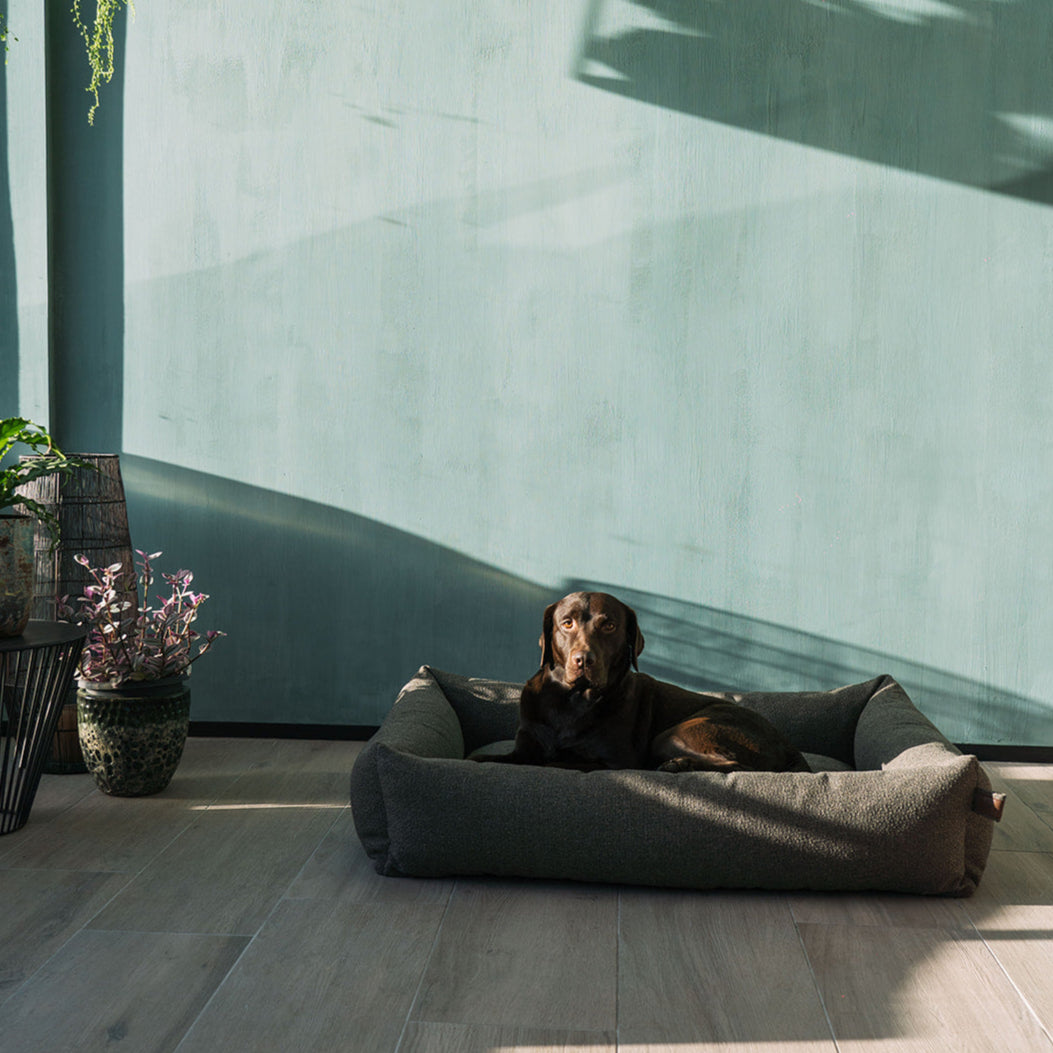 Snug Endurance Dog Bed Seaweed Green