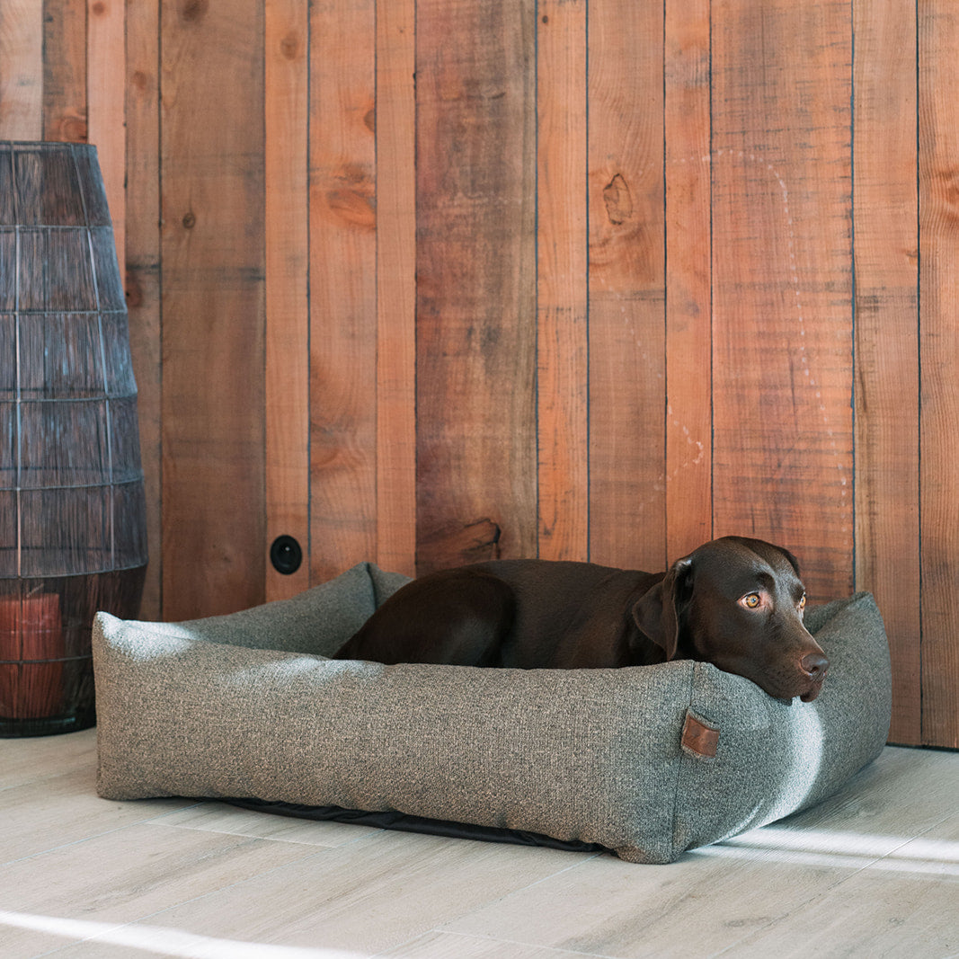 Snug Endurance Dog Bed Seaweed Green