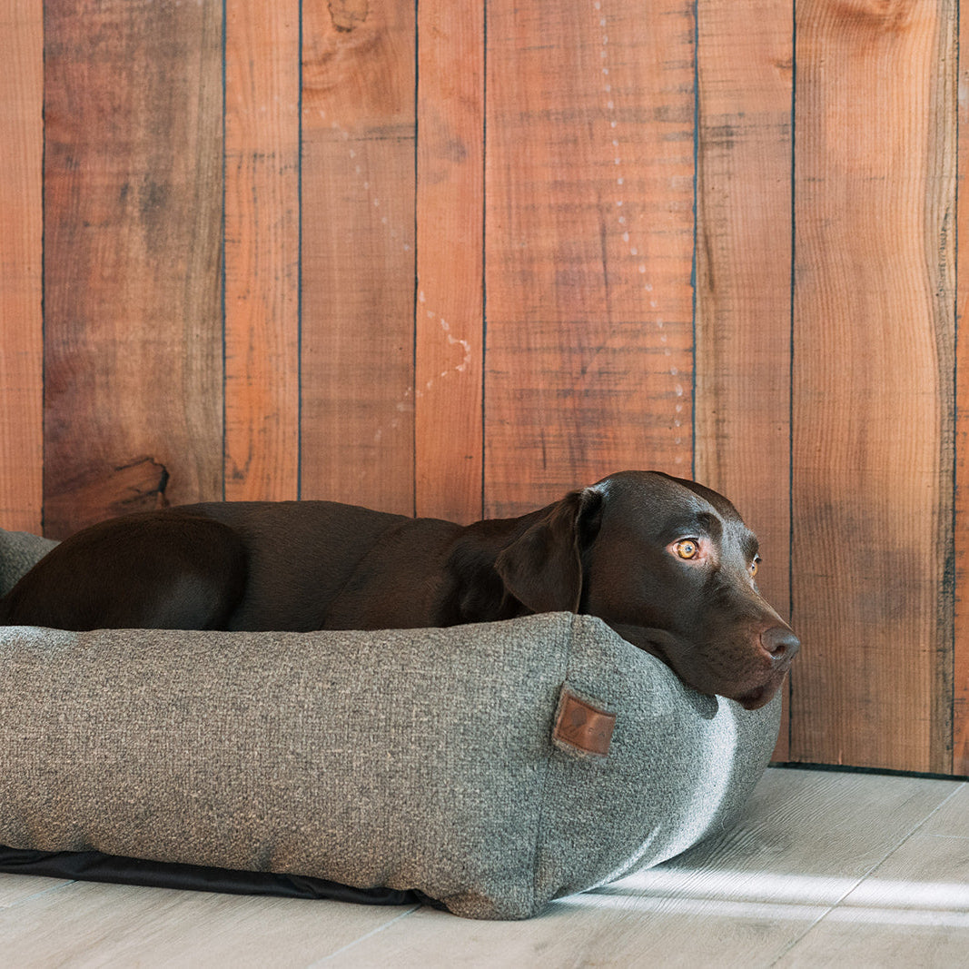 Snug Endurance Dog Bed Seaweed Green