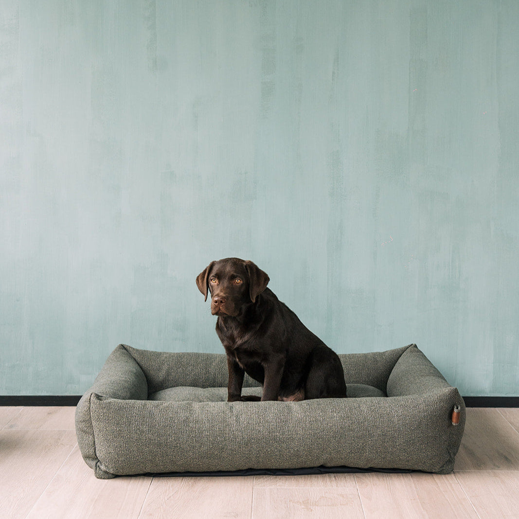 Snug Endurance Dog Bed Seaweed Green