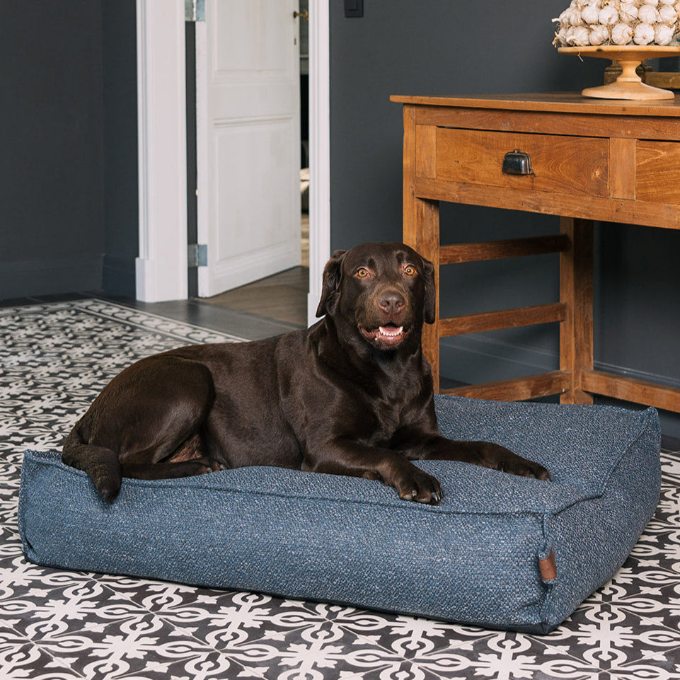 Stargaze Endurance Cushion Midnight Blue