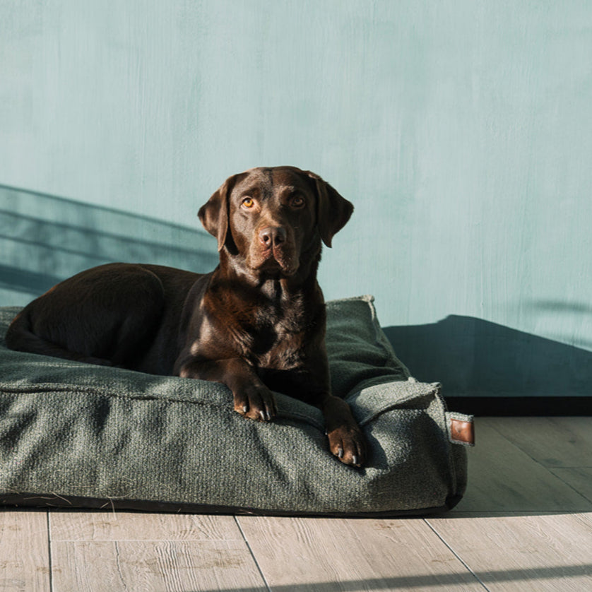 Stargaze Endurance Matras Seaweed Green