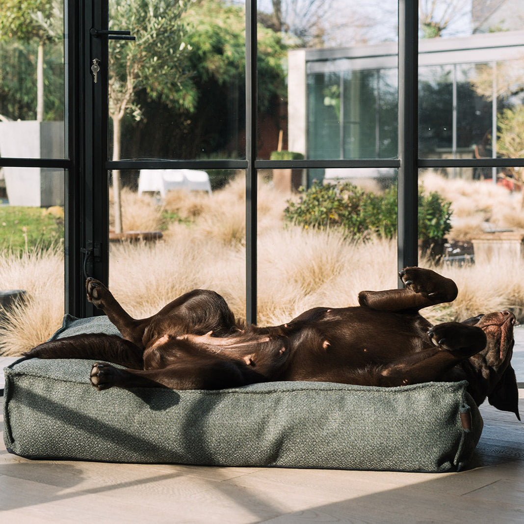 Stargaze Endurance Cushion Seaweed Green