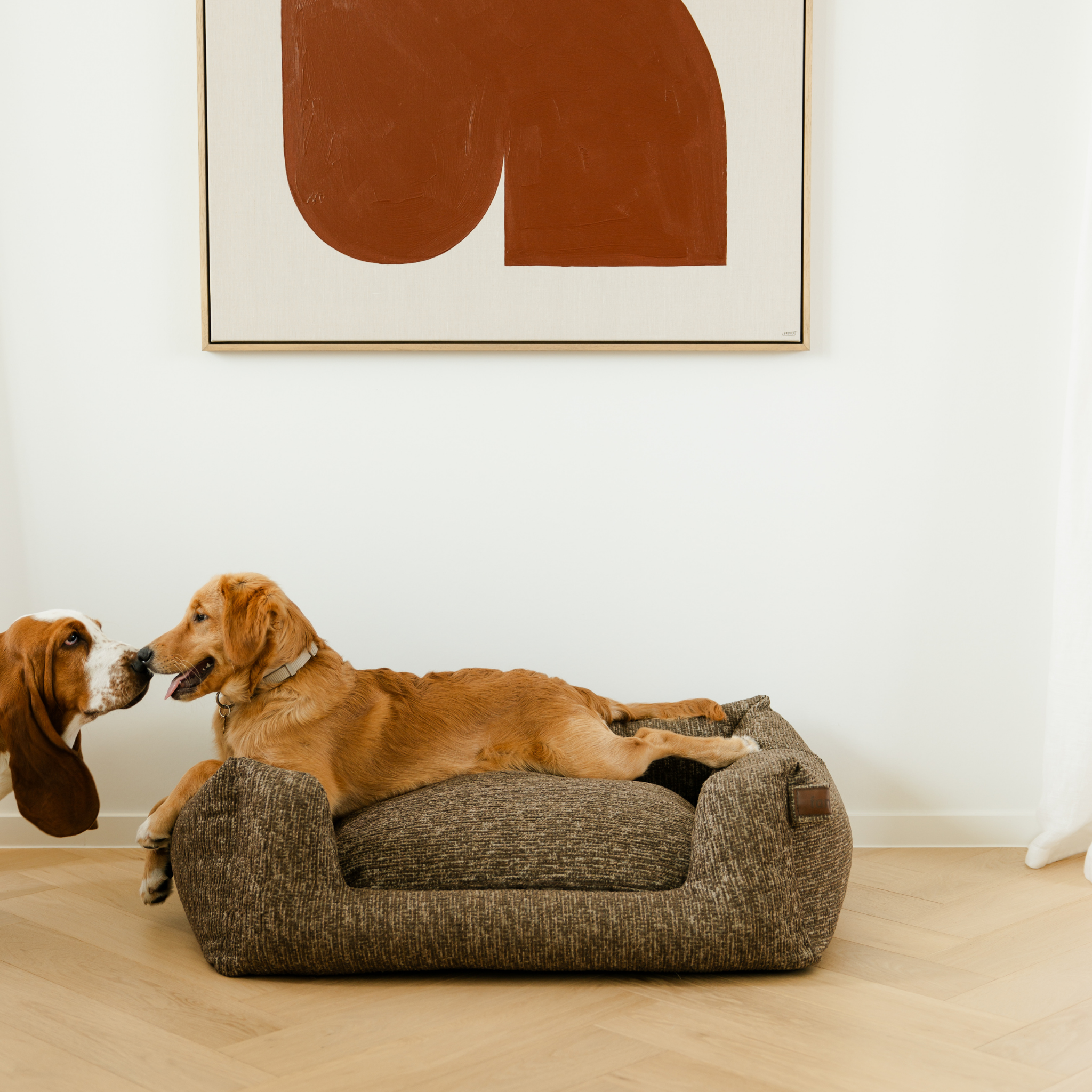 A golden retriever lies stretched out on a textured brown dog bed in a bright room, while a basset hound sits to the left looking at the dog. A framed abstract art print hangs on the wall above.