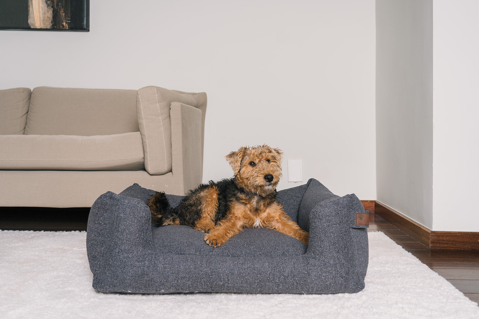 Basket Snooze Epic Grey Medium 80x60cm - Fantail.be