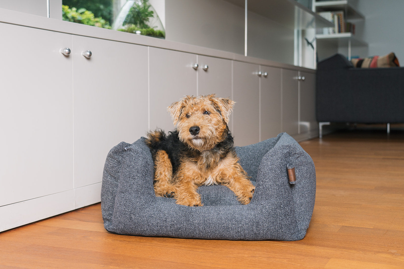 Basket Snooze Epic Grey Small 60x50cm - Fantail.be