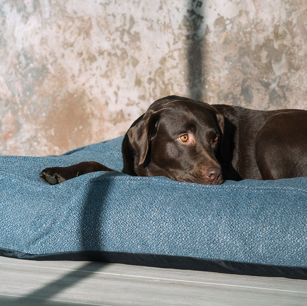 Stargaze Conscious Mattress Midnight Blue Small - Fantail.be