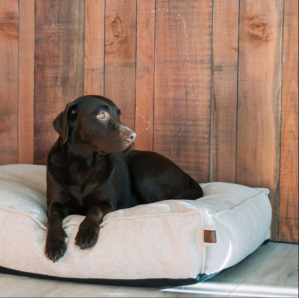 Stargaze Conscious Mattress British Tan Small - Fantail.be