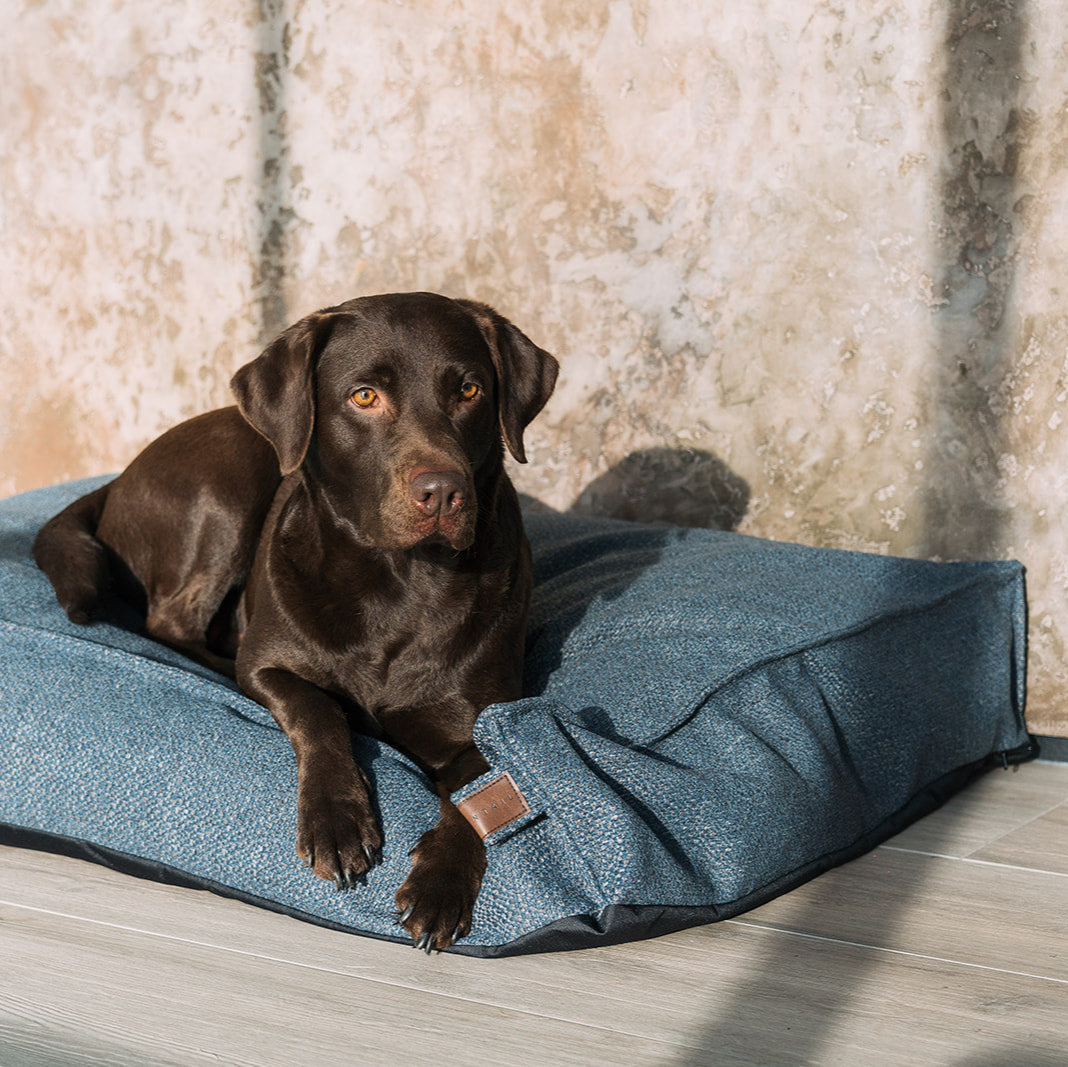 Stargaze Conscious Mattress Midnight Blue Small - Fantail.be