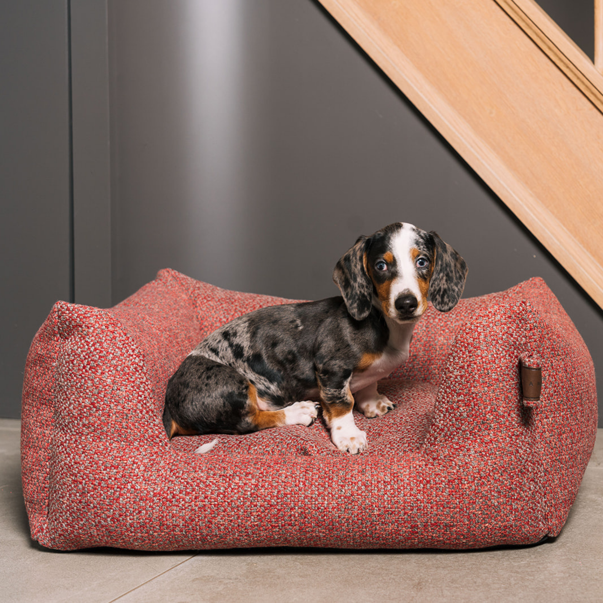 A small black, white, and tan dachshund sits on a textured terracotta red dog bed with a small brown leather tag, set against a gray wall and wooden staircase.