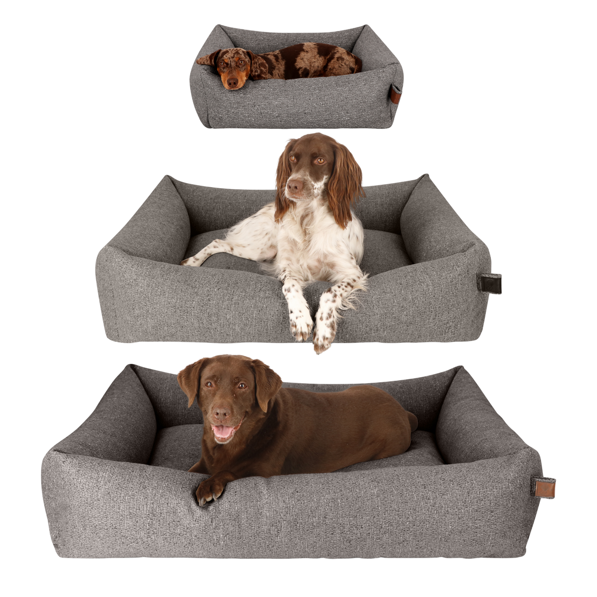 Three Snug dog beds in grey with dogs of different sizes, showing the size range
