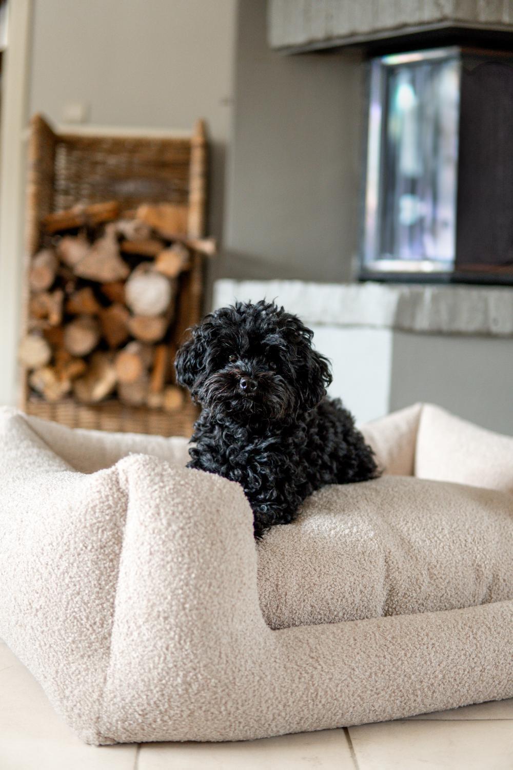 Snooze Limited Edition Teddy