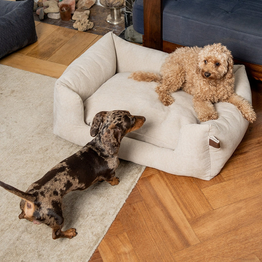 Snooze Mellow Dog Bed Oat Beige