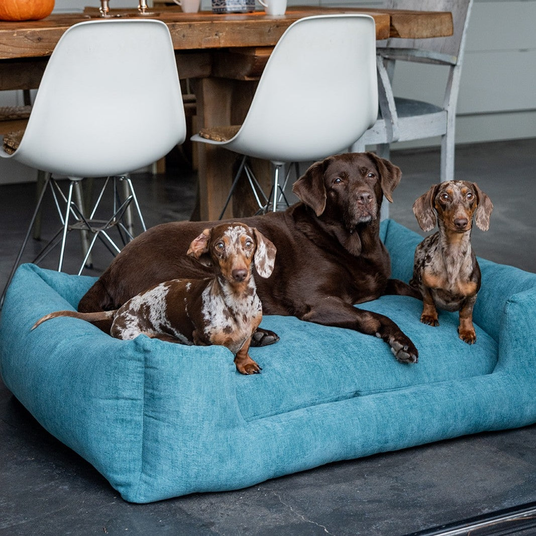 Snooze Mellow Dog Bed Peacock Blue