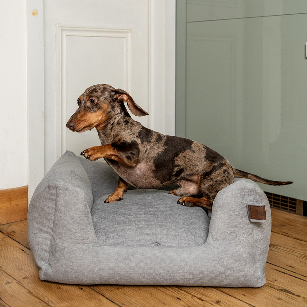 Snooze Mellow Dog Bed Pearl Grey