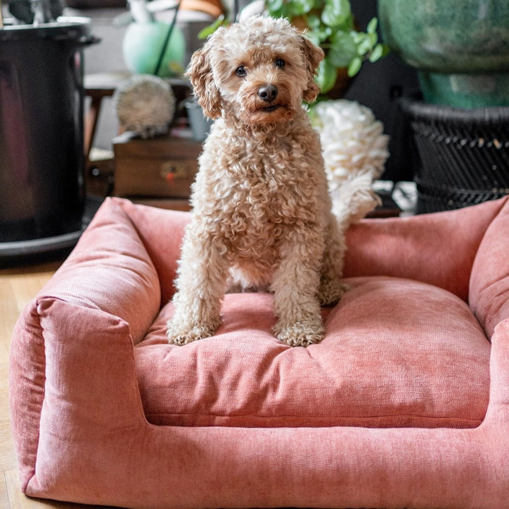Snooze Mellow Dog Bed Rusty Orange