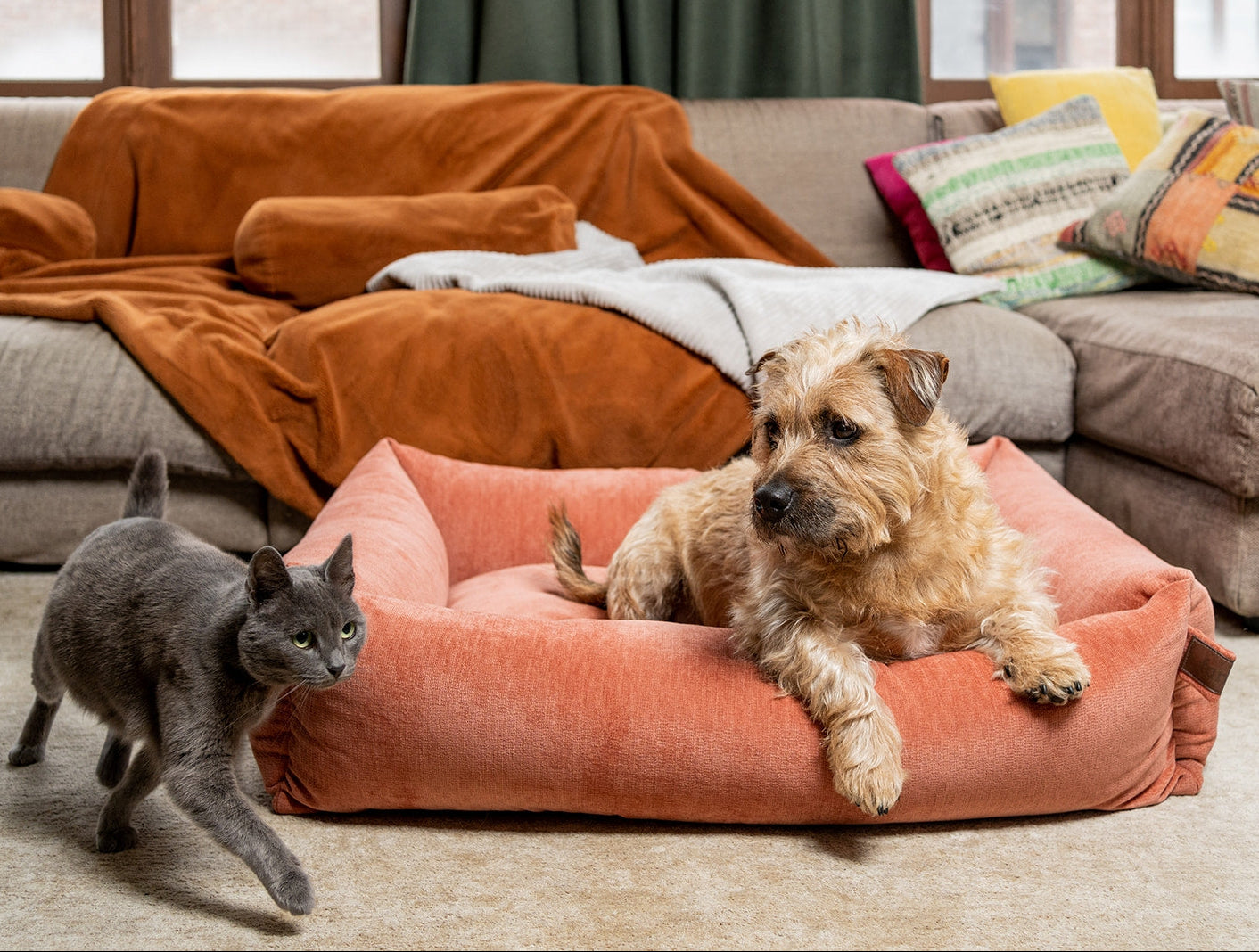 Snug Mellow Dog Bed Rusty Orange