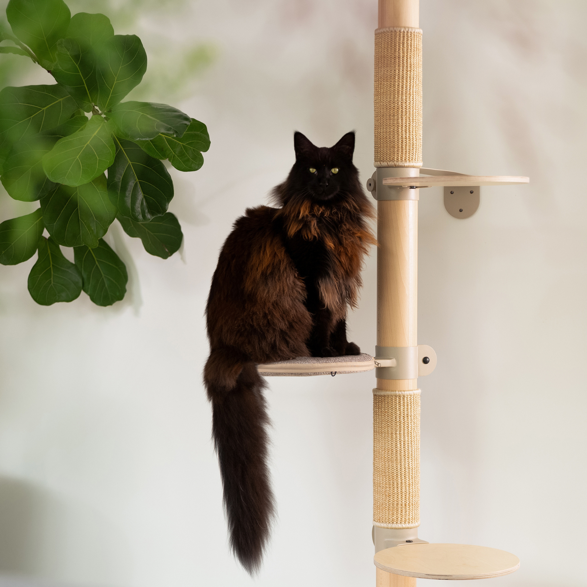 The Adventurer Cat Tree N°1  Taupe