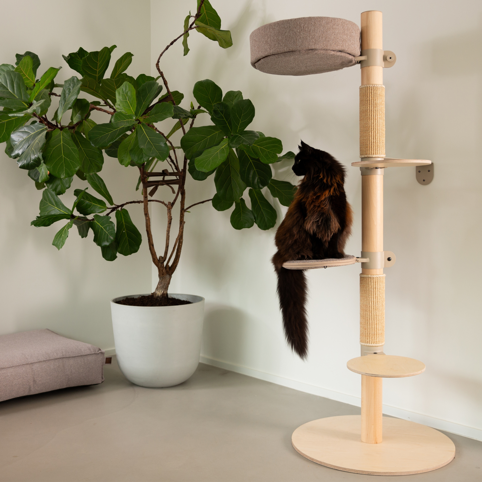 The Adventurer Cat Tree N°1 Orange