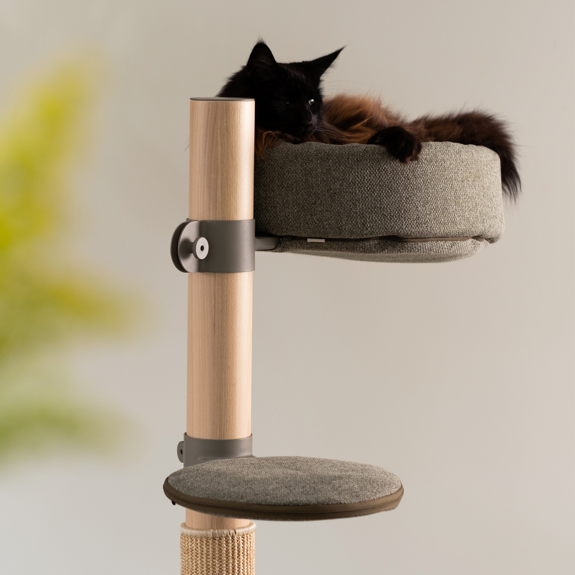 The Adventurer Cat Tree N°5 Orange