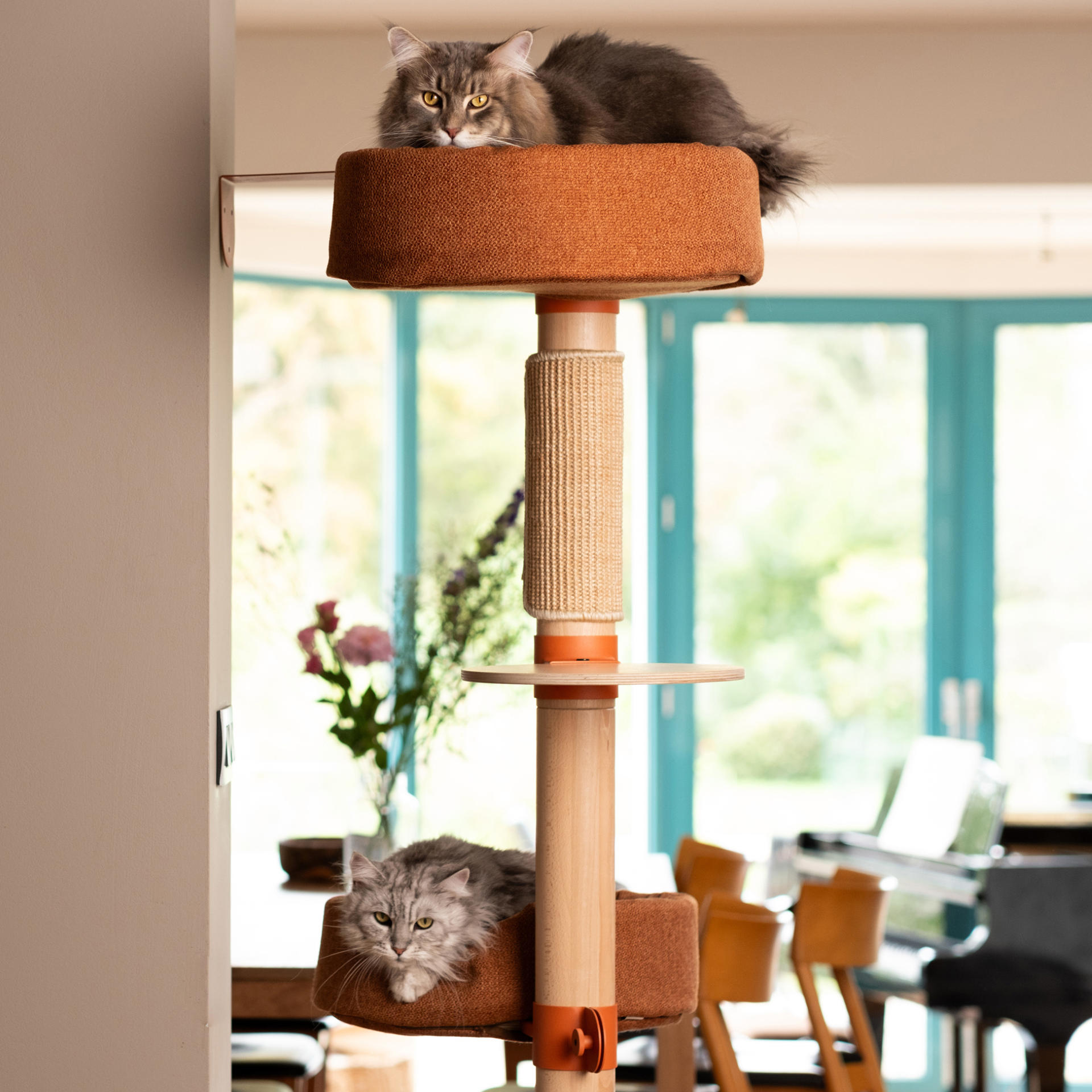 The Adventurer Cat Tree N°6  Orange