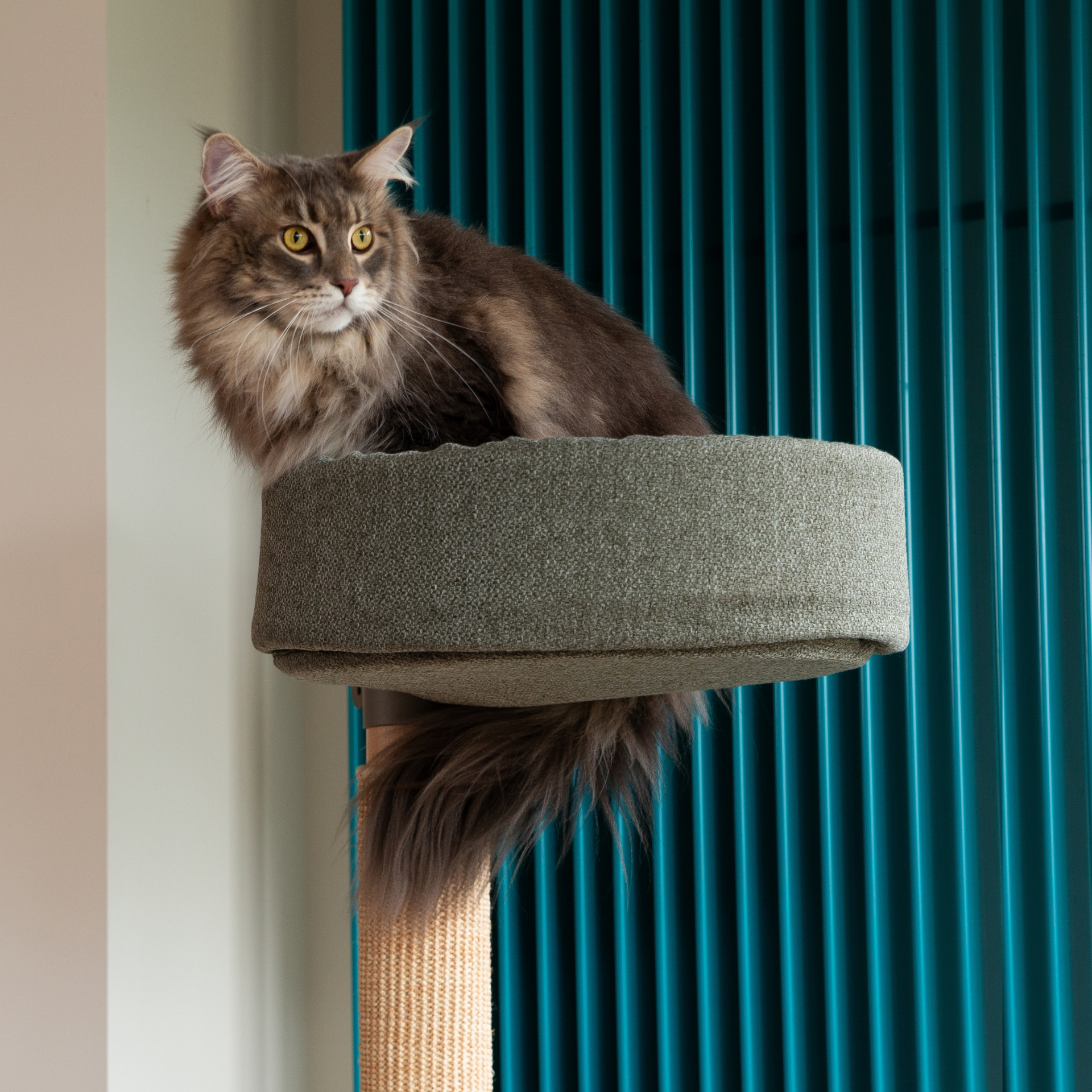 The Adventurer Cat Tree N°6 Green