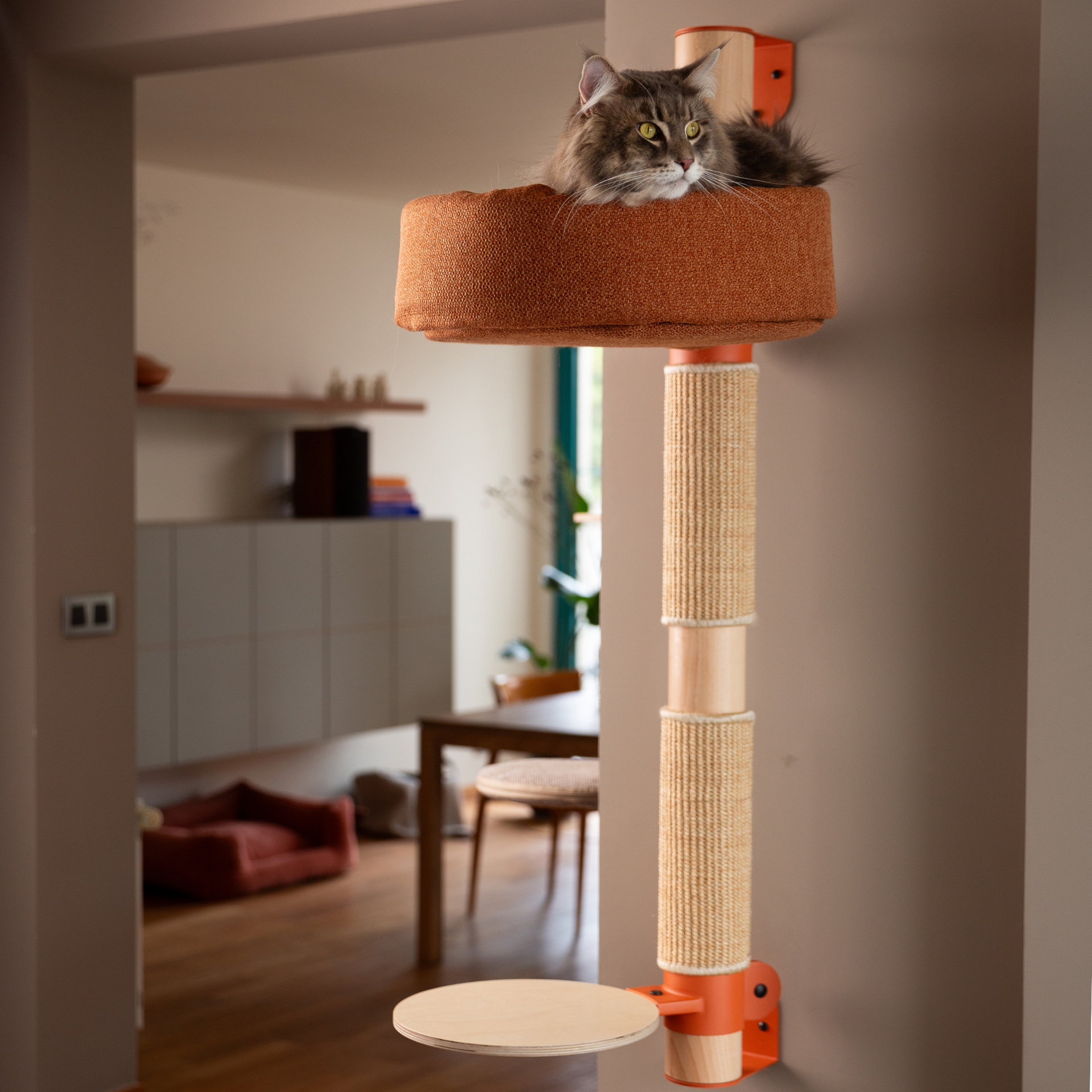 L'arbre à chat Observer N°7 Taupe