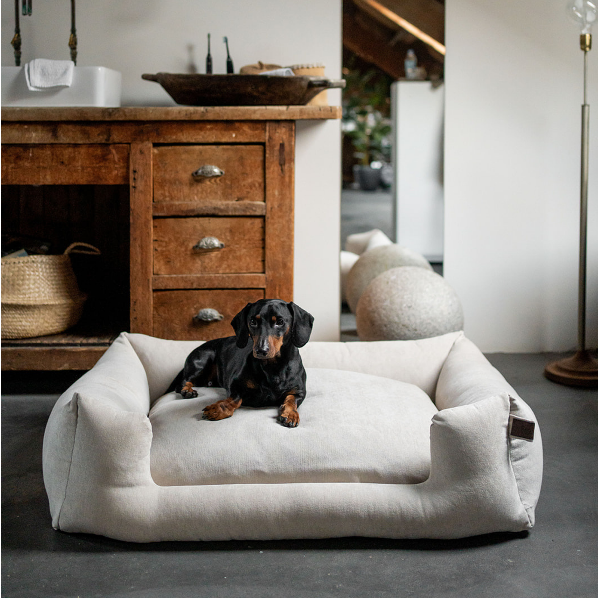 A black and tan dachshund lies on a large, plush off-white dog bed in a modern, rustic living room setting with a wooden cabinet in the background.