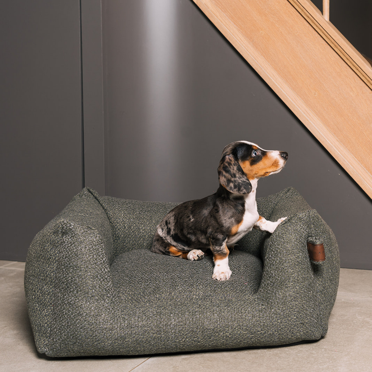 A small tricolor puppy sits on a plush, low-profile dog bed with a textured gray-green fabric, set against a modern gray wall and wooden staircase.