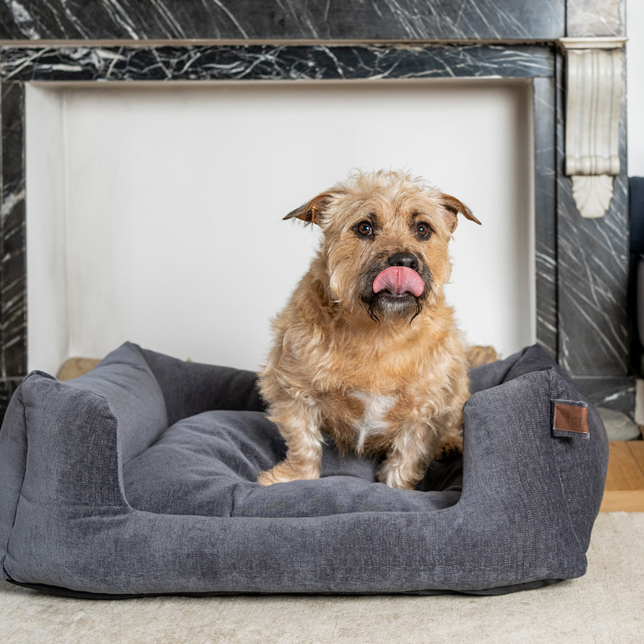 A small tan dog sits in a plush gray pet bed placed in front of a white fireplace opening with a dark marble mantel..