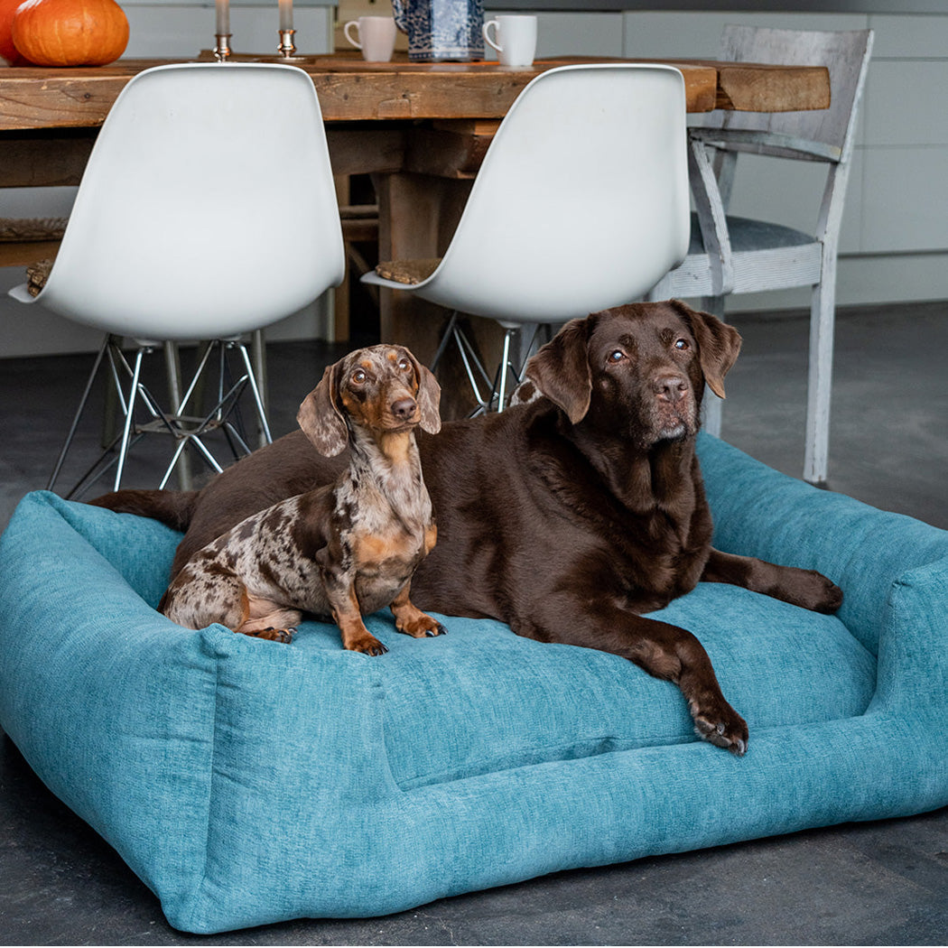 Snooze Mellow Dog Bed Peacock Blue