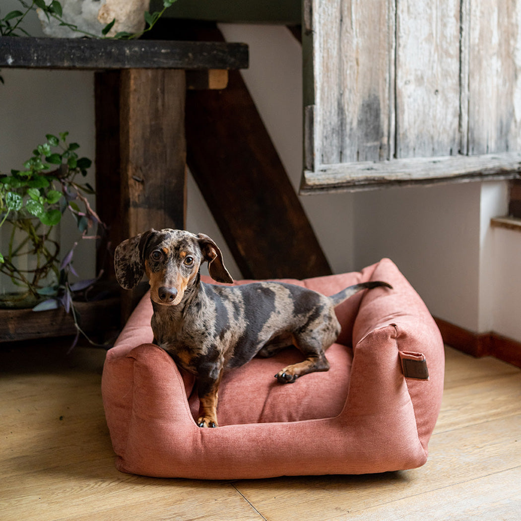 Snooze Mellow Dog Bed Rusty Orange
