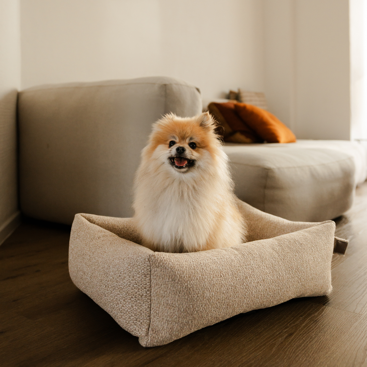 A Pomeranian sitting in the British Tan Snug dog bed beside a sofa #color_british-tan