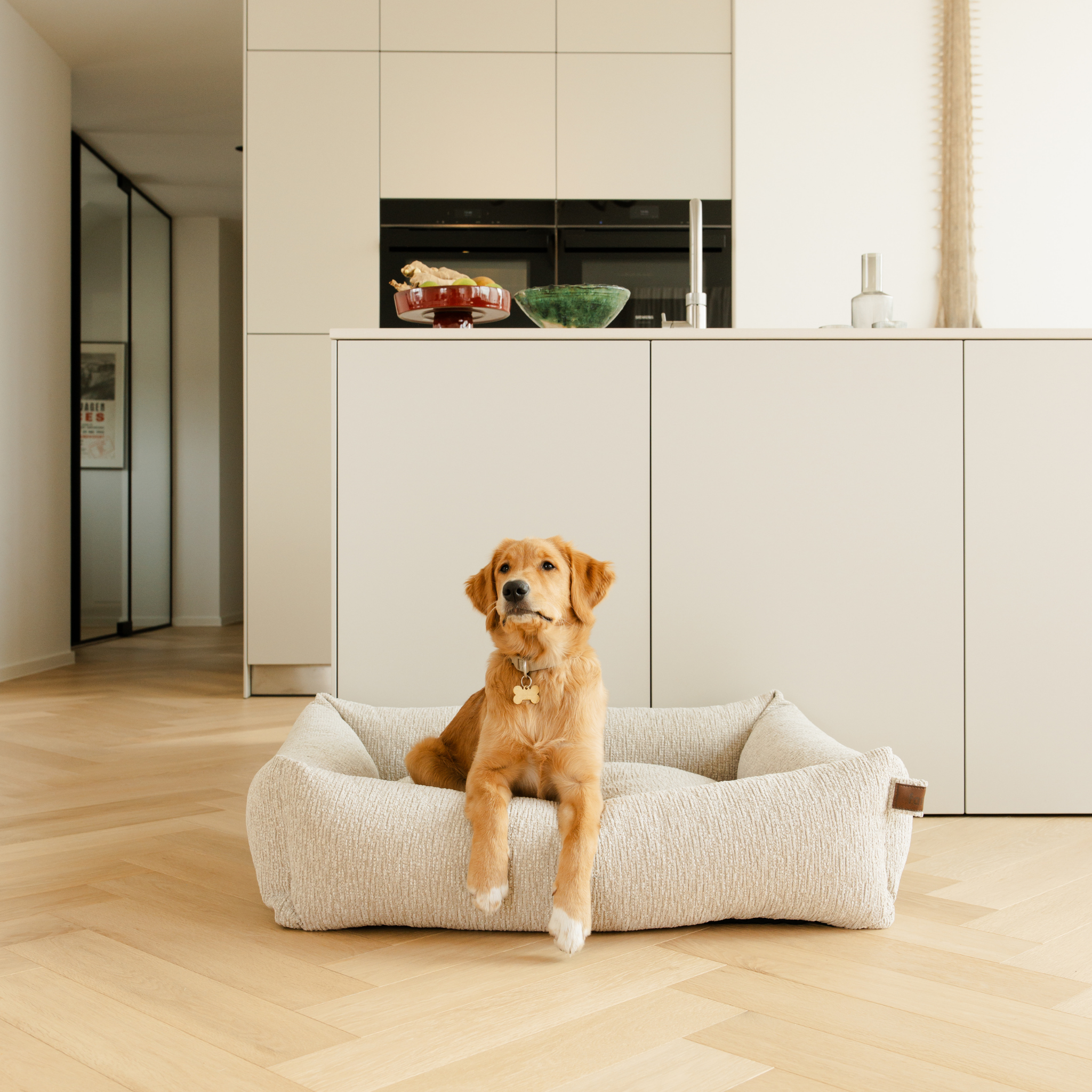 Golden retriever sitting in the Clay Beige Snug dog bed in a modern kitchen