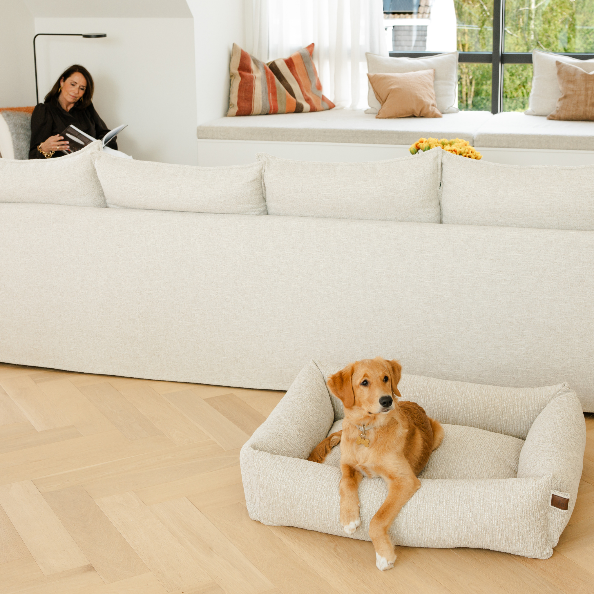 Golden retriever resting in the Clay Beige Snug dog bed beside a white sofa